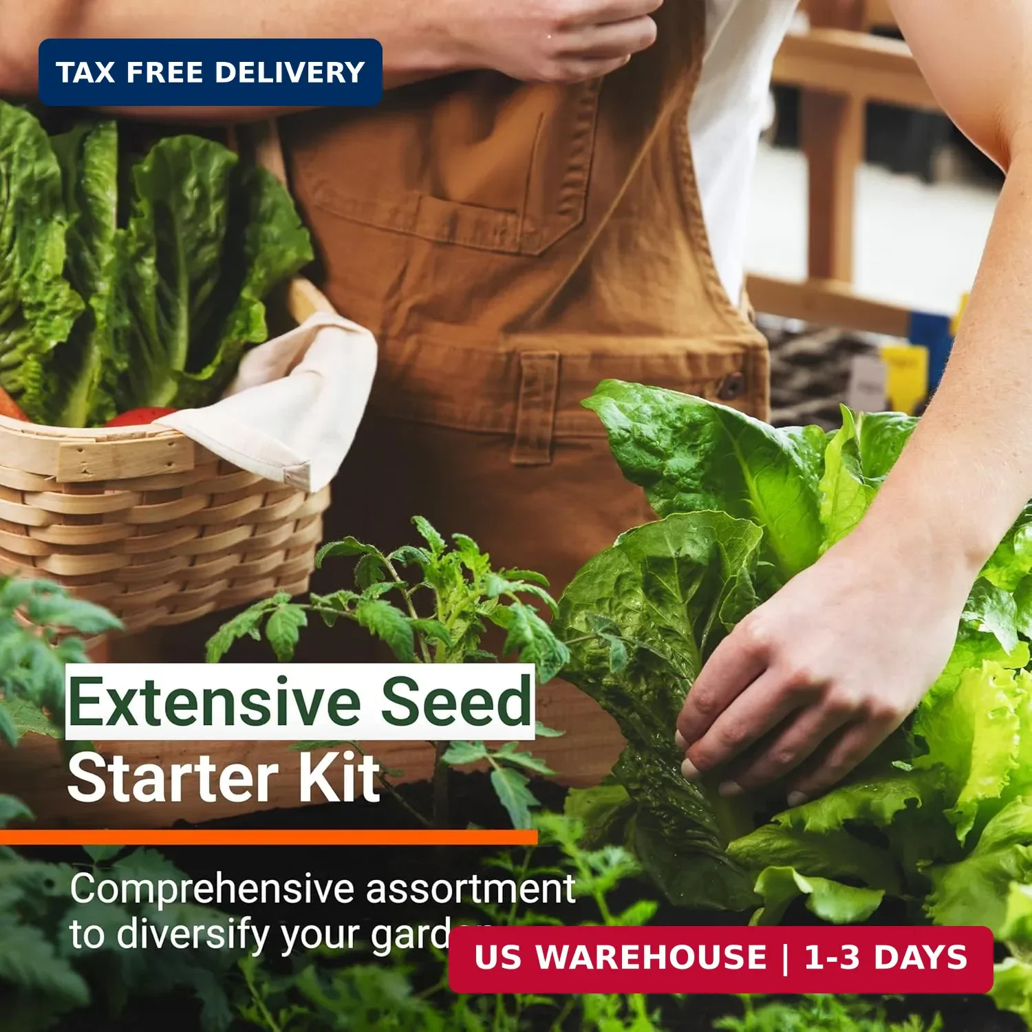 Open Seed Vault | 4,000 Heirloom Seeds | 12 Variety Pack of Herb Seeds | 2026 Se