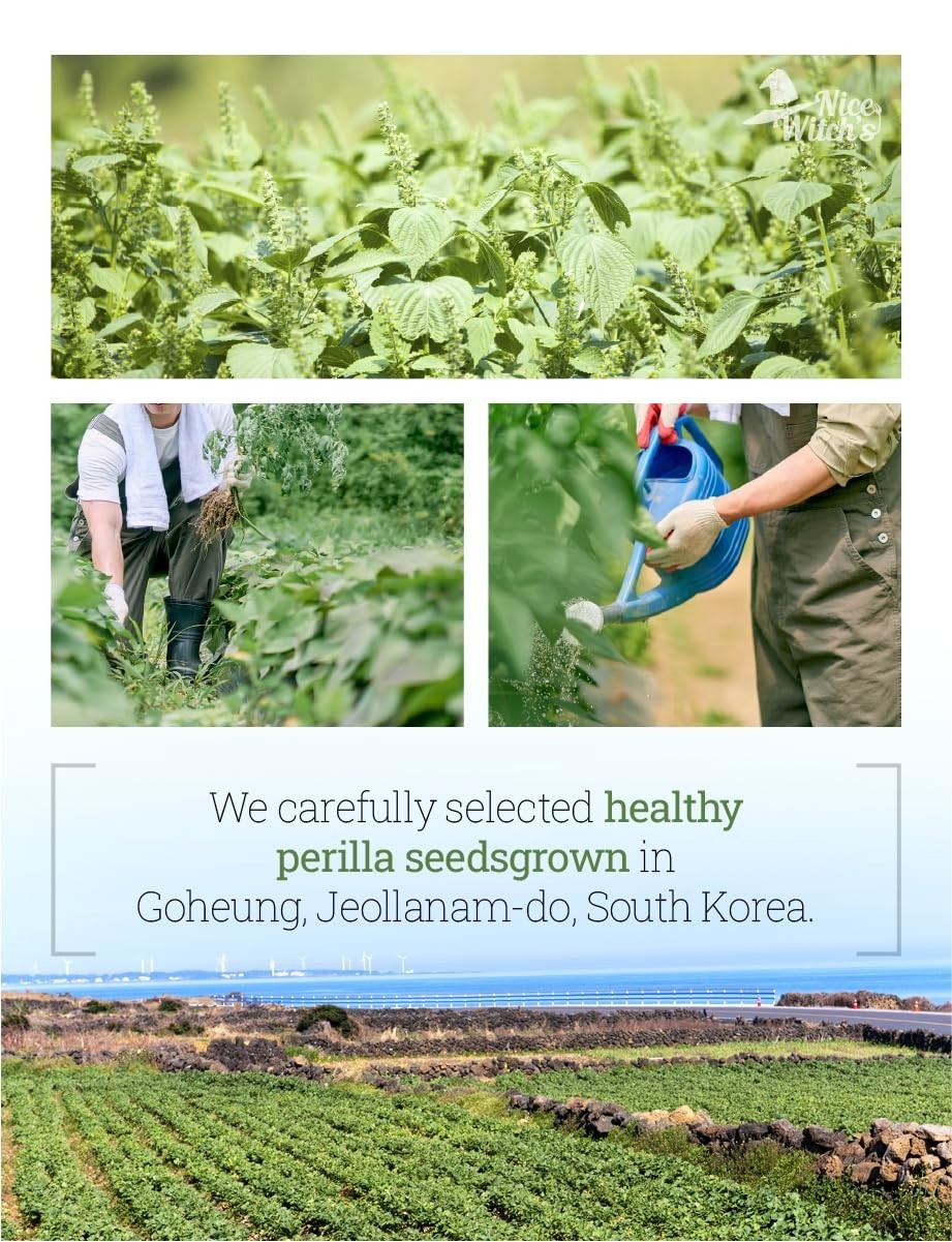 NICE WITCH’S Korean 100% Peeled Perilla Seeds Powder Flour 300g (10.5 oz)