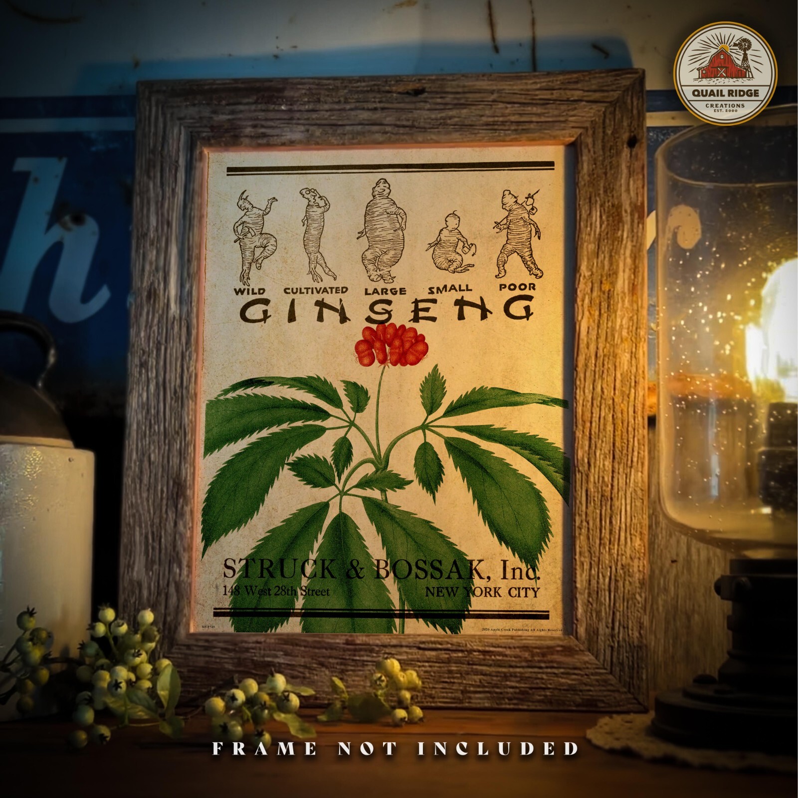 Wild Ginseng Root Poster Art Print Vintage Ginseng Hunting Wall Art Decor Gift