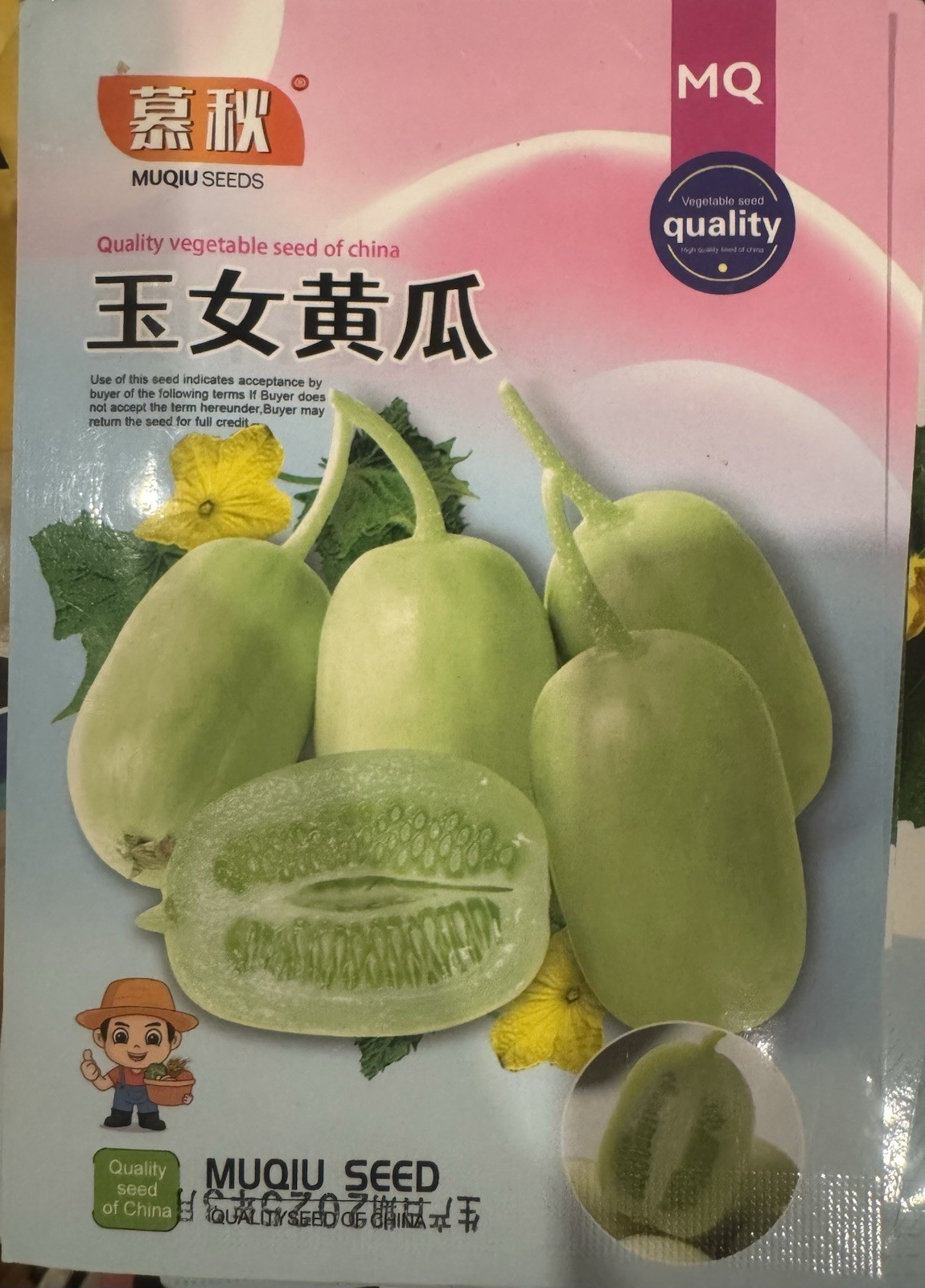 Premium Yu Nu Cucumber – Sweet & Refreshing | 玉女黄瓜