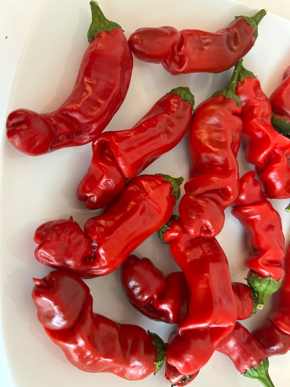 40+ Rare Red Authentic Penis Peter Pepper Seeds. Hot Heirloom Non Gmo