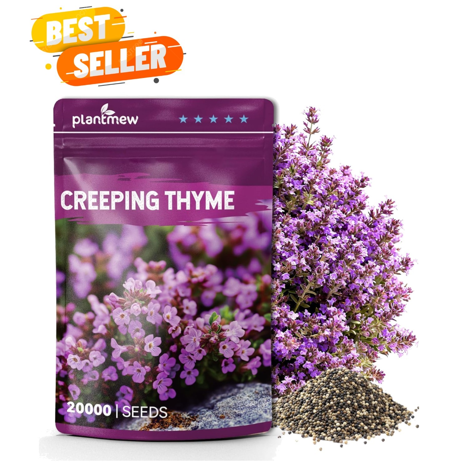 20000+ Creeping Thyme Seeds – Fragrant Ground Cover for Low-Maintenance Gardens