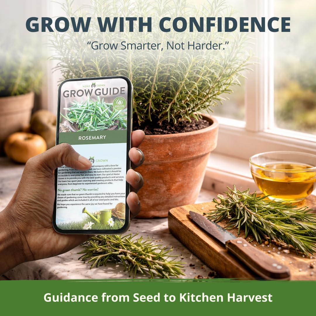 Non GMO Rosemary Seeds Pack – 150 High Germinating Heirloom Herb Seeds for Plant