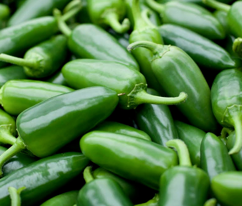 JALAPENO M PEPPER SEEDS 50+ spicy MEXICAN CULINARY salsa CULINARY FREE SHIPPING