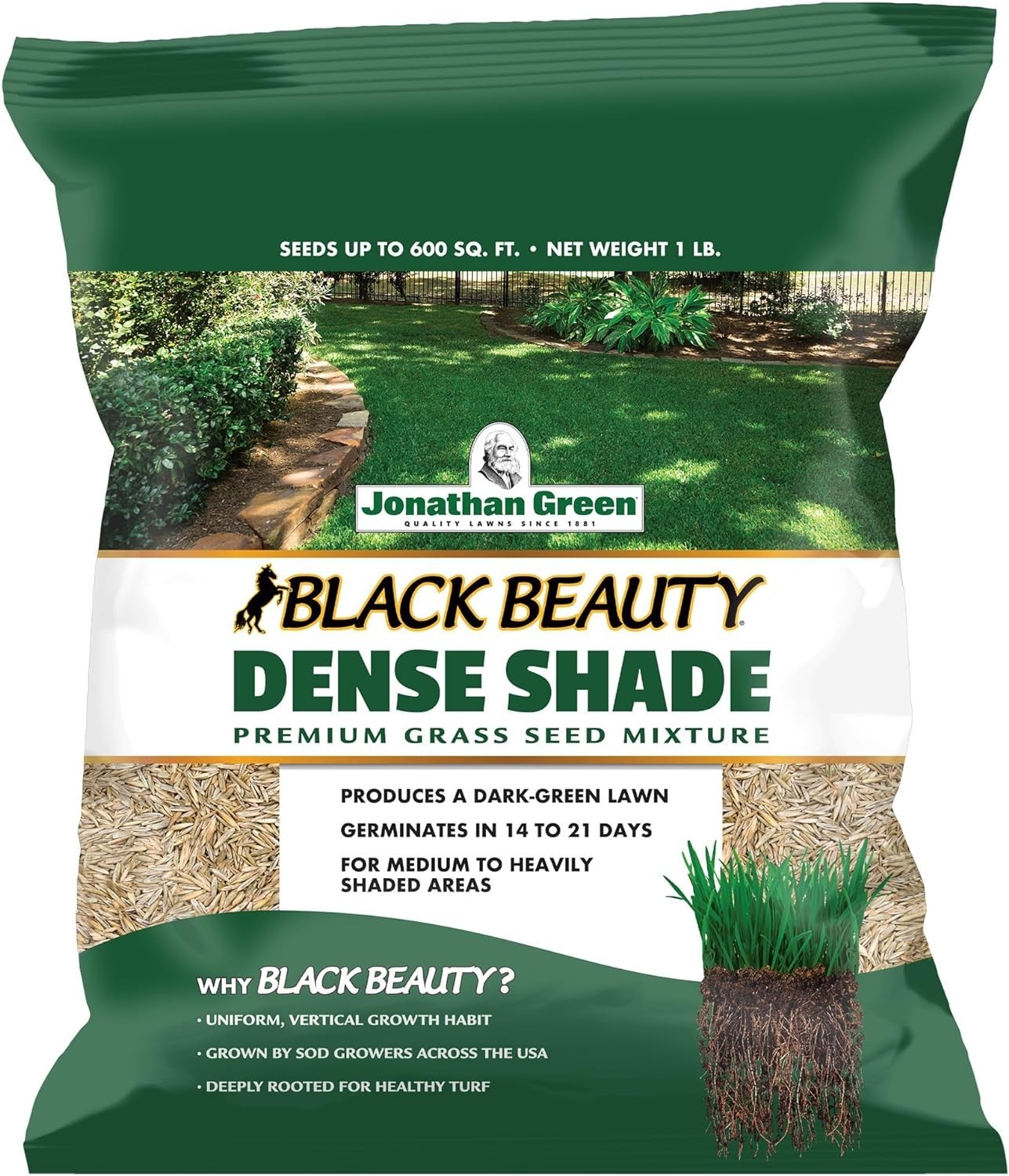 Black Beauty Grass Seed – Ideal for Shaded Areas, Germinates in 14-21 Days