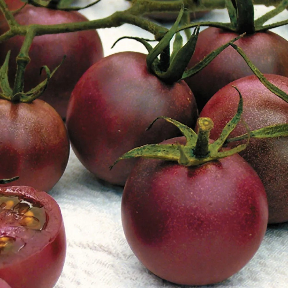 120+ Chocolate Cherry Tomato Seeds – Super Sweet – Heirloom ————— RARE