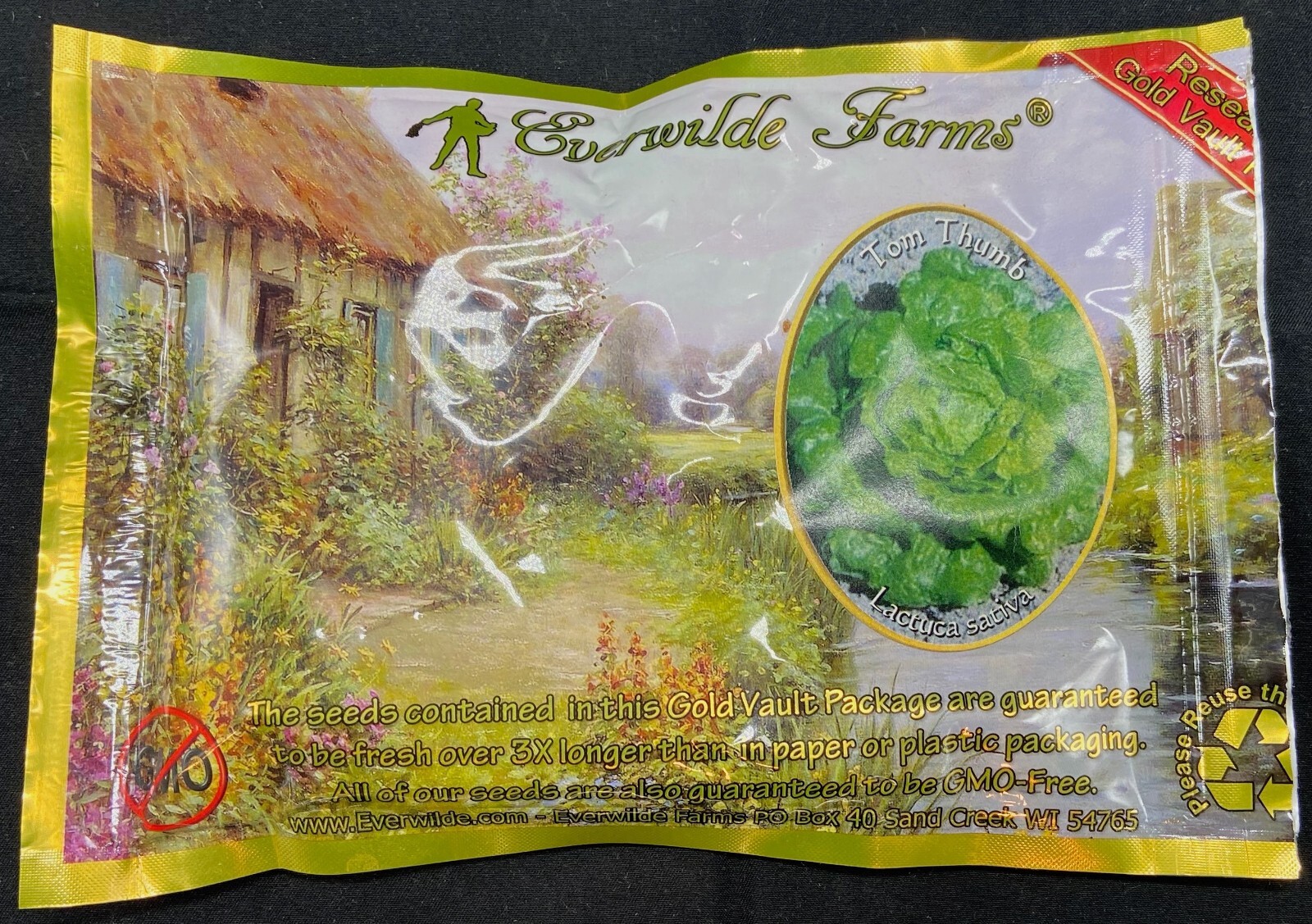 Seeds – TOM THUMB LETTUCE – Everwilde Farms (Wisconsin) Lactuca sativa – 3.75 oz