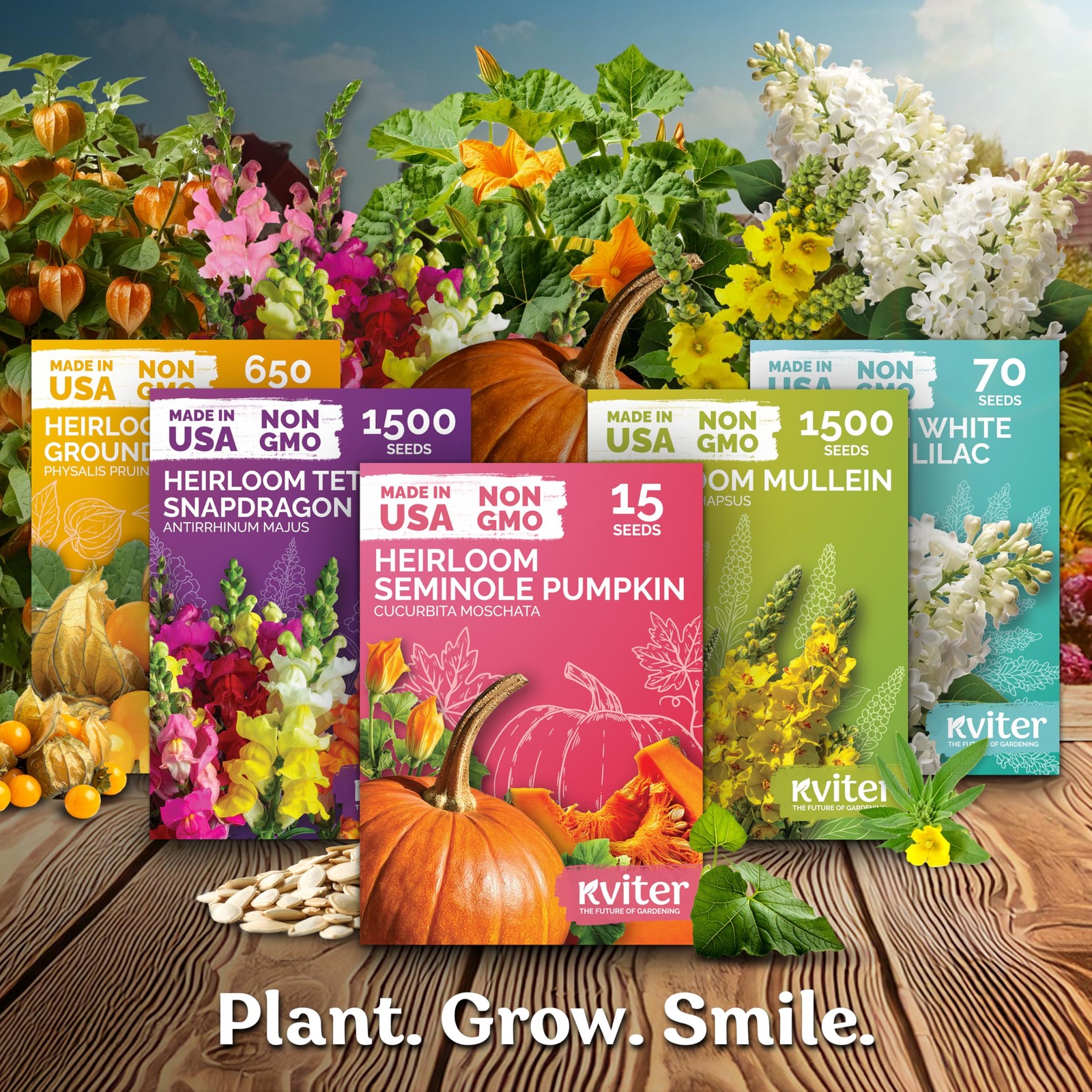 KVITER 650650 Pineapple Ground Cherry (Physalis Pruinosa) Seeds