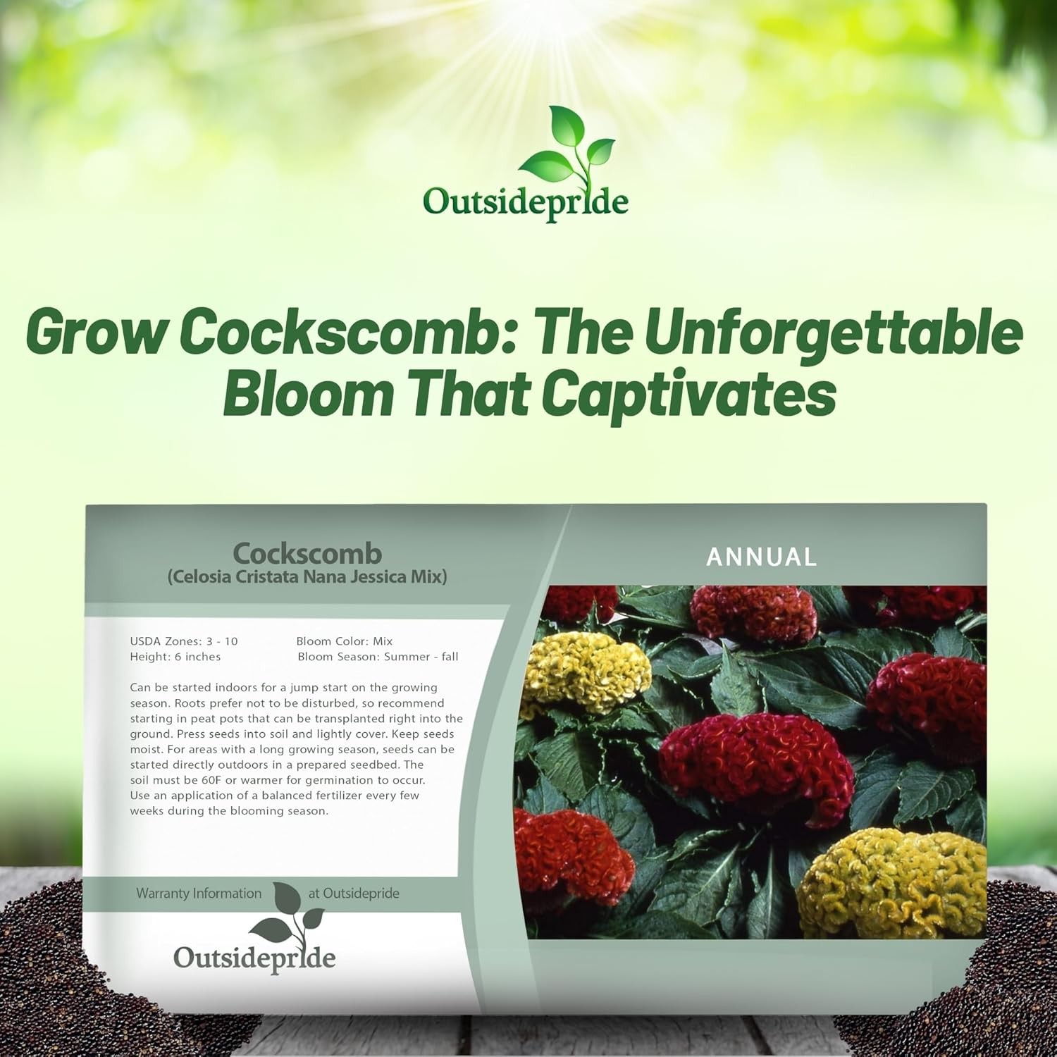 500 Seeds Cockscomb Seeds – Celosia Cristata Flower Seed Mix