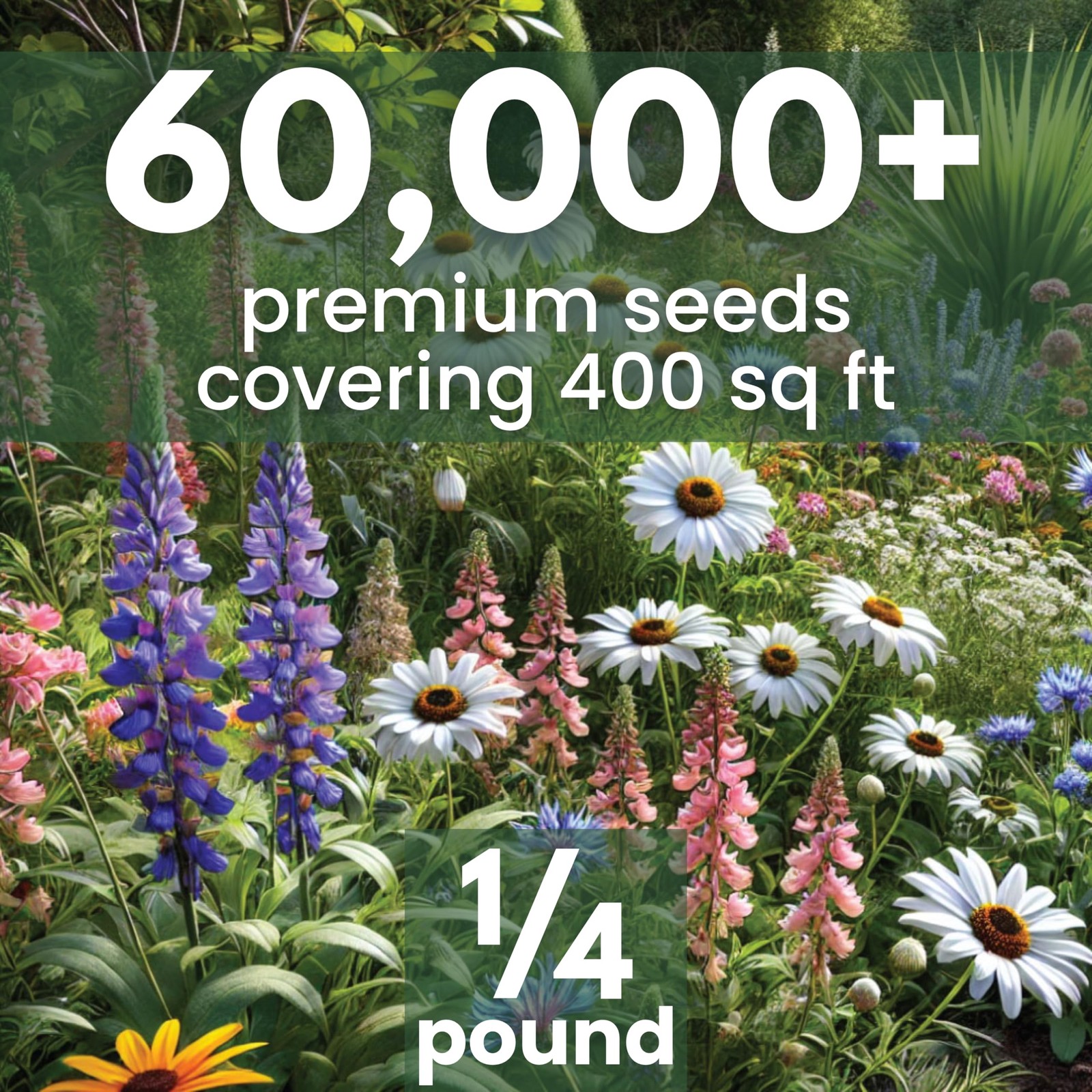 Perennial Species Mix – Bulk 1/4 Pound Pouch – 60000 Flower Seeds for Plantin…