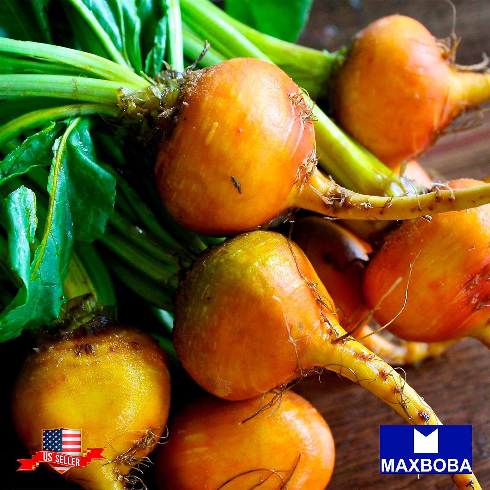 Fresh!! Golden Detroit Beet Seeds Non-GMO Heirloom Vegetable Garden