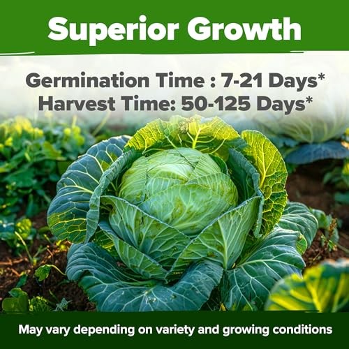 Cabbage Seeds 7 Variety Mix 2000+ Heirloom Non-GMO, High 7-Pack Veg Seed Vault