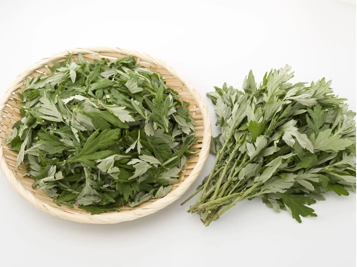 Japanese Mugwort Yomogi Seeds, Kui Hao, Artemisia Princeps, Medicinal Herb Seeds