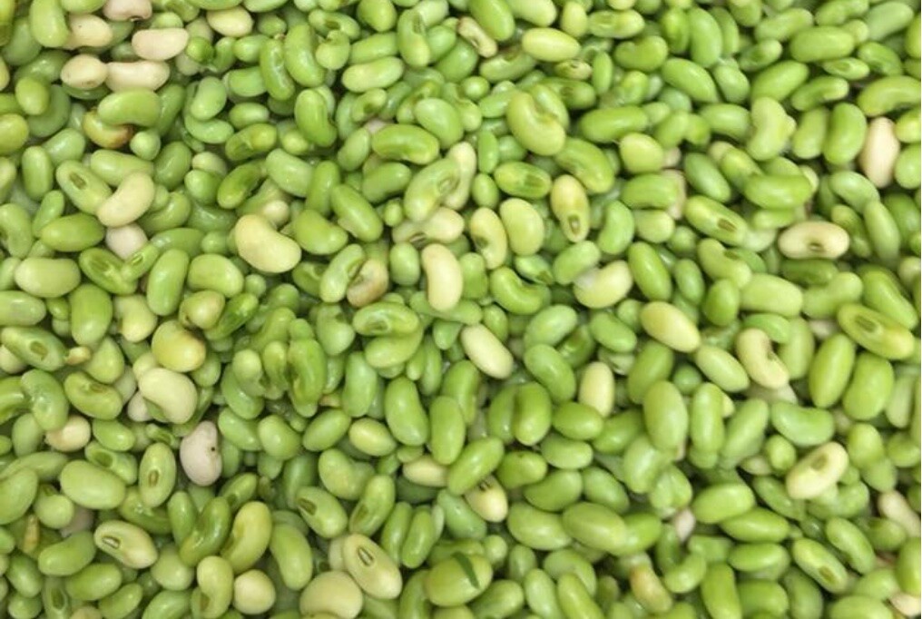 1/4 Pound (1200 Seed) Lady Cream Pea Seed Heirloom Non GMO (Lady Finger)