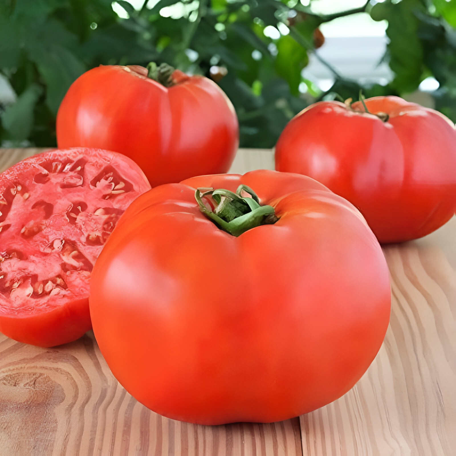 125 Heirloom Bonny Best Tomato Seeds Classic Red Slicing Tomato Garden Favorite