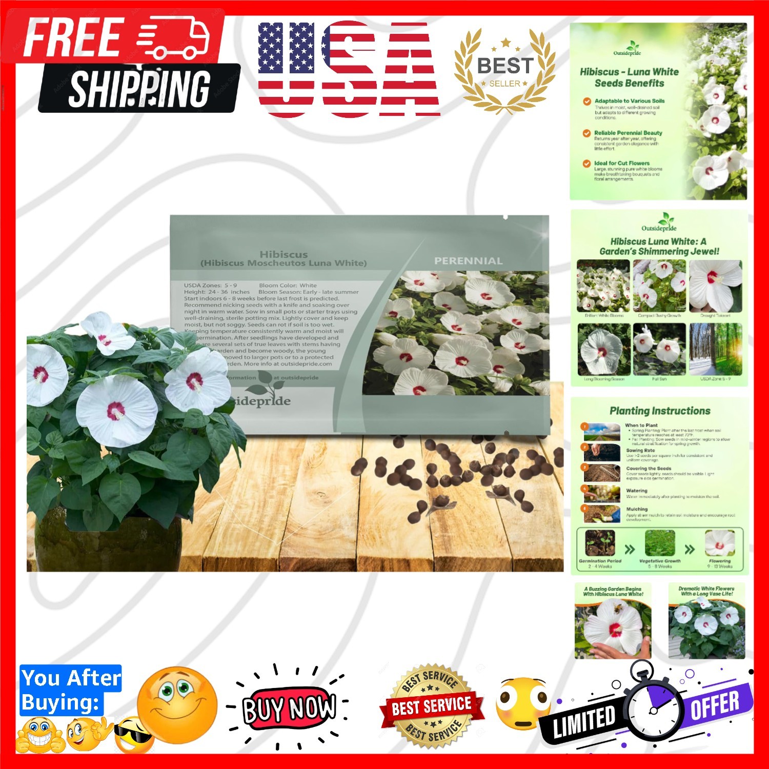 Luna White Hibiscus Seeds – 10 Pcs Perennial Flower Seeds for Planting Pollin…