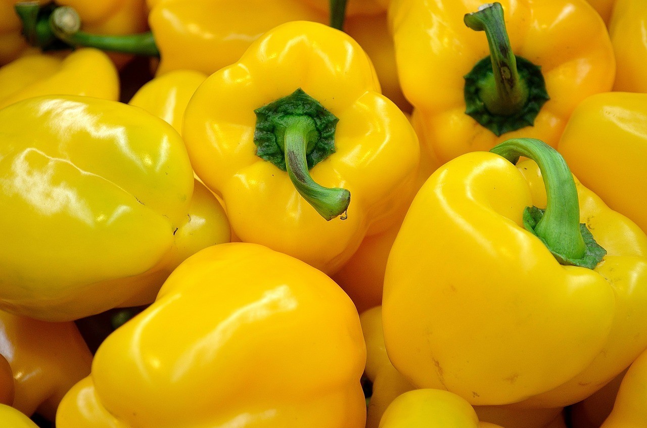 101+SUNBRIGHT Yellow Sweet BELL PEPPER Seeds Organic Vegetable Garden Container