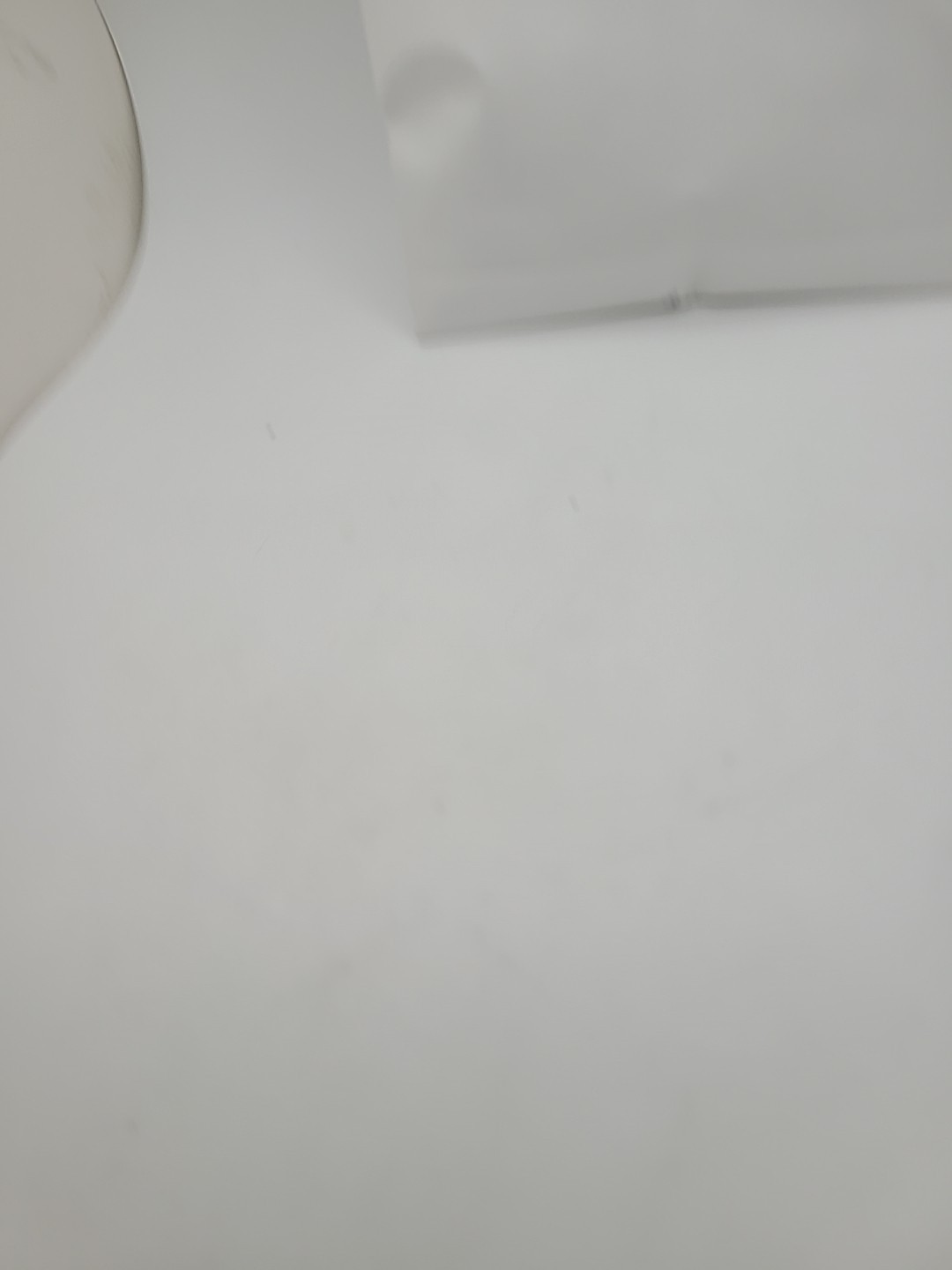 Lima Bean Seed