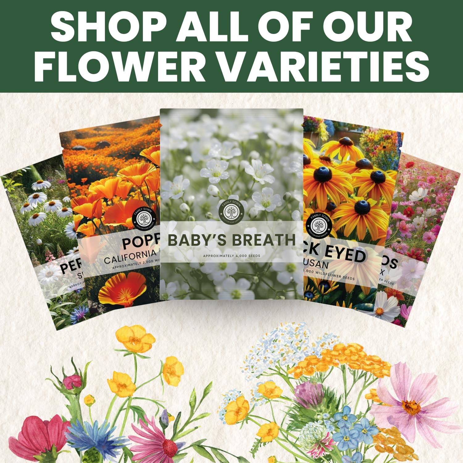 Baby’s Breath – 22,000 Seeds for Planting – 2026 Season – 1 Ounce Pouch