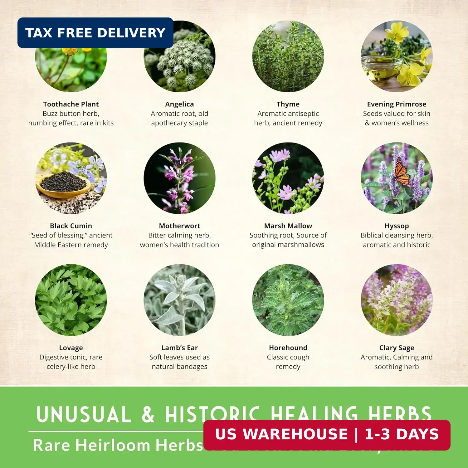 Ultimate Medicinal Herb Seeds Variety Pack – 36 Heirloom Non-GMO Healing Herbs f