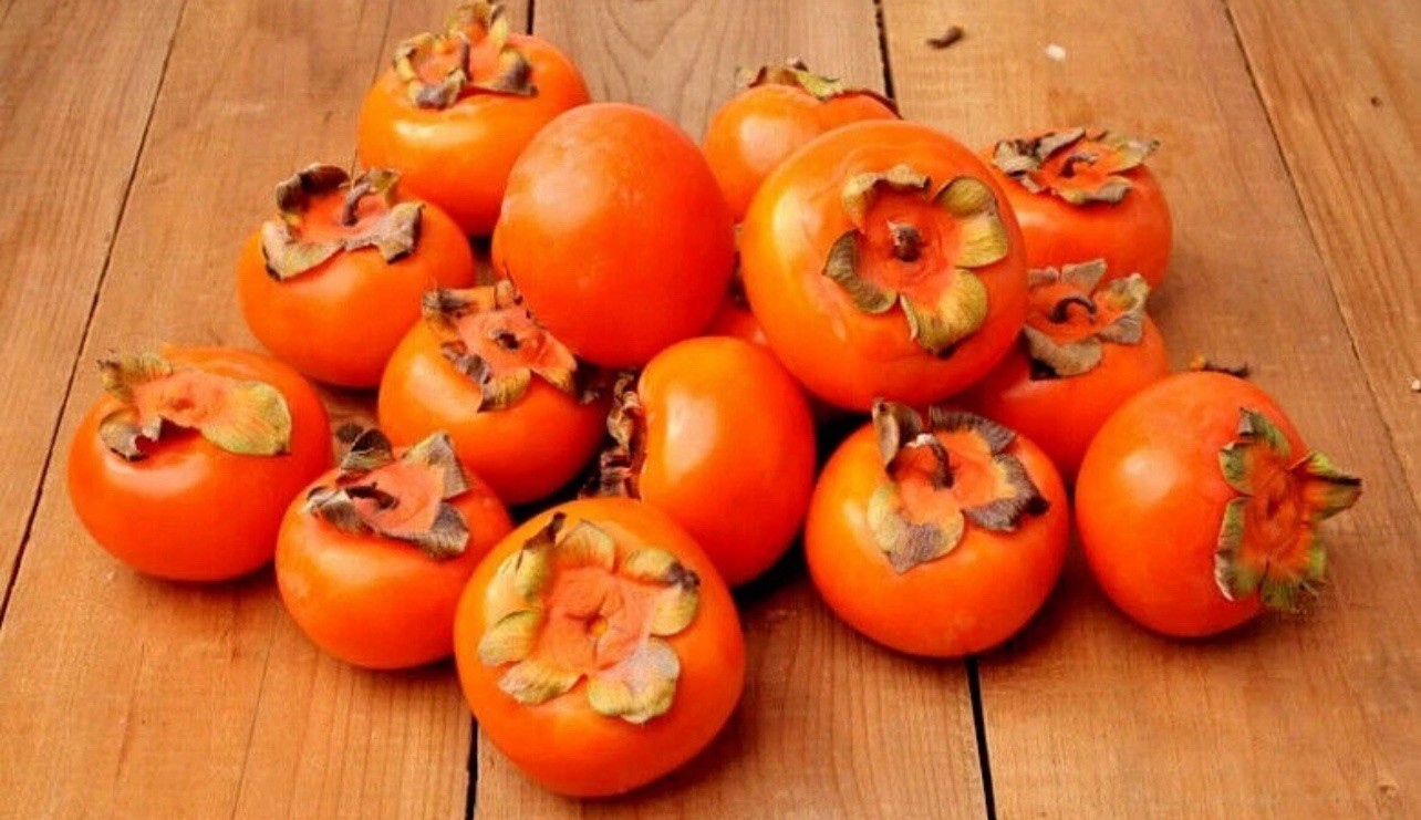 10 JAPANESE PERSIMMON TREE SEEDS (Diospyros Kaki) Asia Hardy Garden Fruit Plant