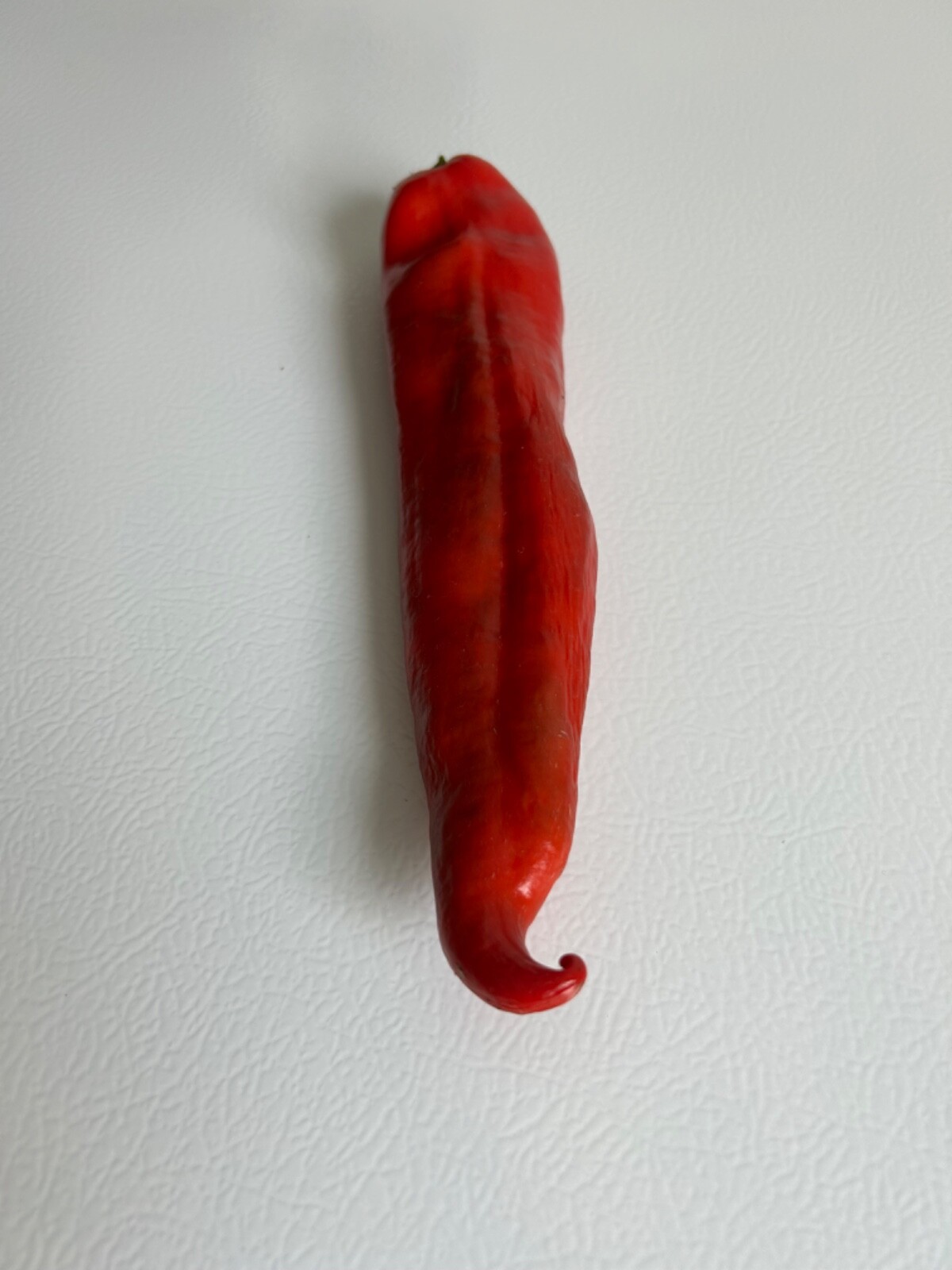 40+ Rare Red Authentic Penis Peter Pepper Seeds. Hot Heirloom Non Gmo