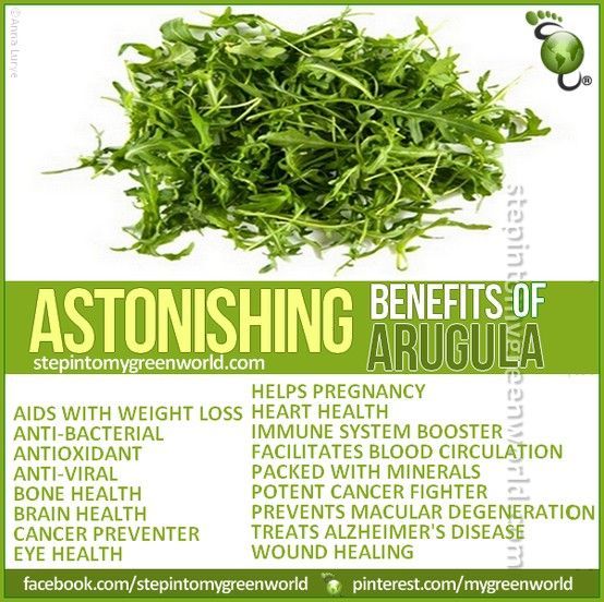 1500 ARUGULA SEEDS -NON-GMO-Open Pollinated-Organic.