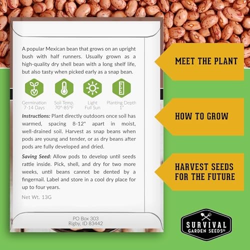 Dry Bean Seeds for Planting – 5 Heirloom Protein Varieties for Shelling &