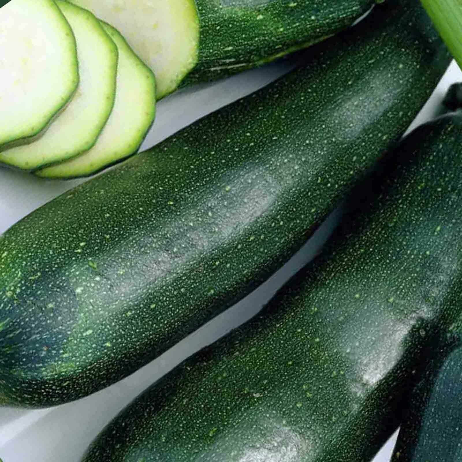 SCARBOROUGH SEEDS BLACK BEAUTY 25 SEEDS SQUASH ZUCCHINI NON-GMO Open-Pollinated