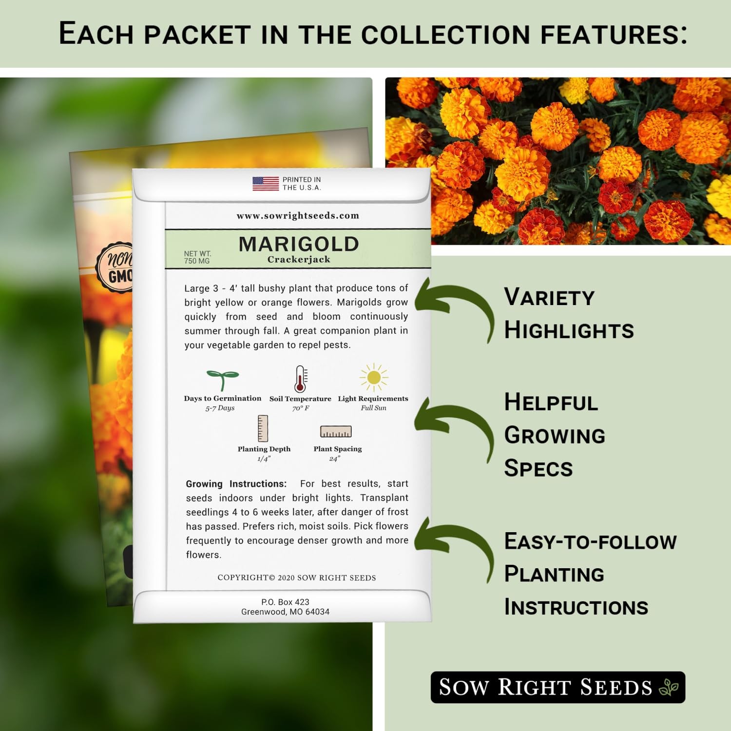 Sow Right Seeds – Insect & Pest Repellent Seed Collection for Planting – Mix