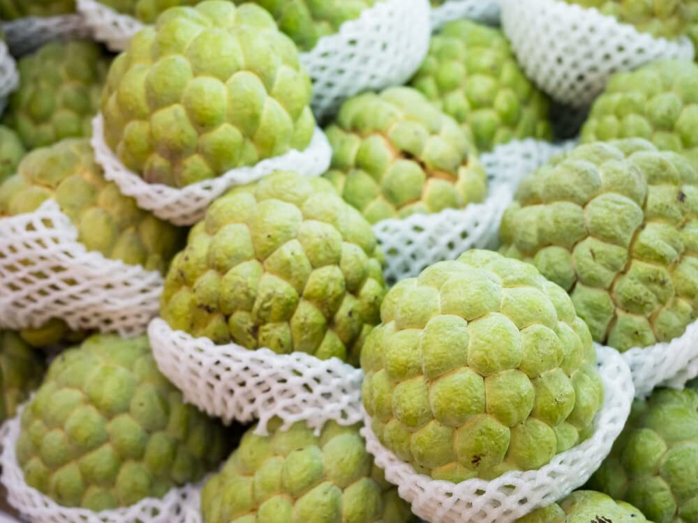 Sugar Apple Tree Seeds for Planting – 5 Seeds -Annona squamosa – Great for Bonsa