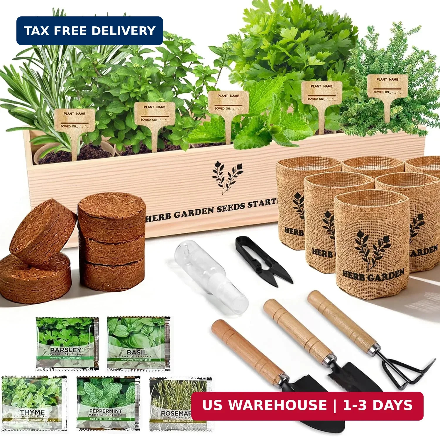 Indoor Herb Garden Starter Kit, 5 Seeds Growing into Basil, Parsley, Rosemary, T