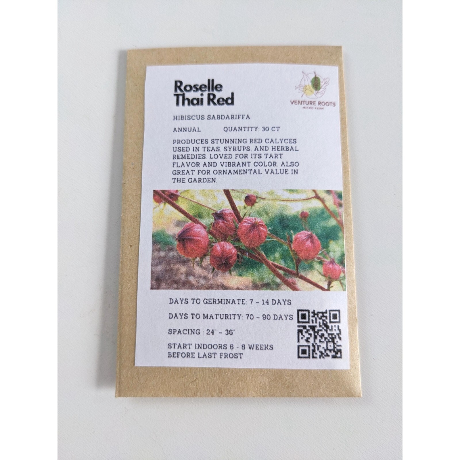 Roselle seeds – Thai red – Seeds, Non-GMO, Open – Pollinated