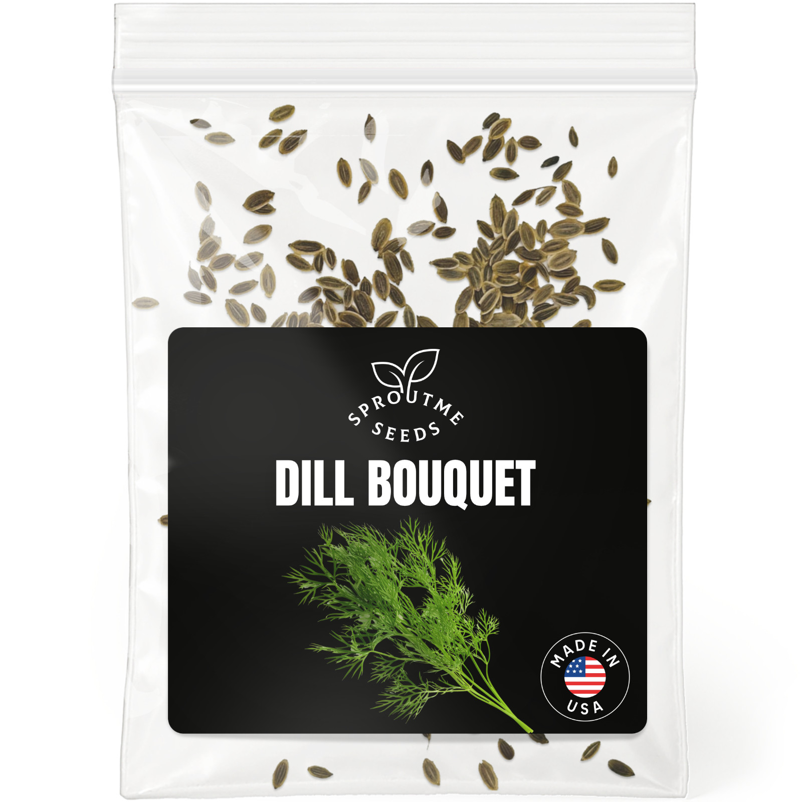 Dill Seeds 200+, Heirloom Non-GMO, Aromatic Culinary Herb for Garden
