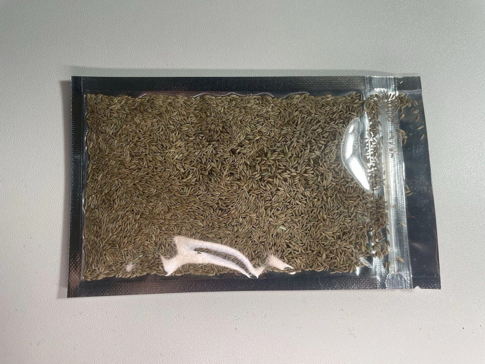 Zenith Zoysia Grass Seed Starter Kit – Over 5,000 Seeds for a Lush, Thriving Law