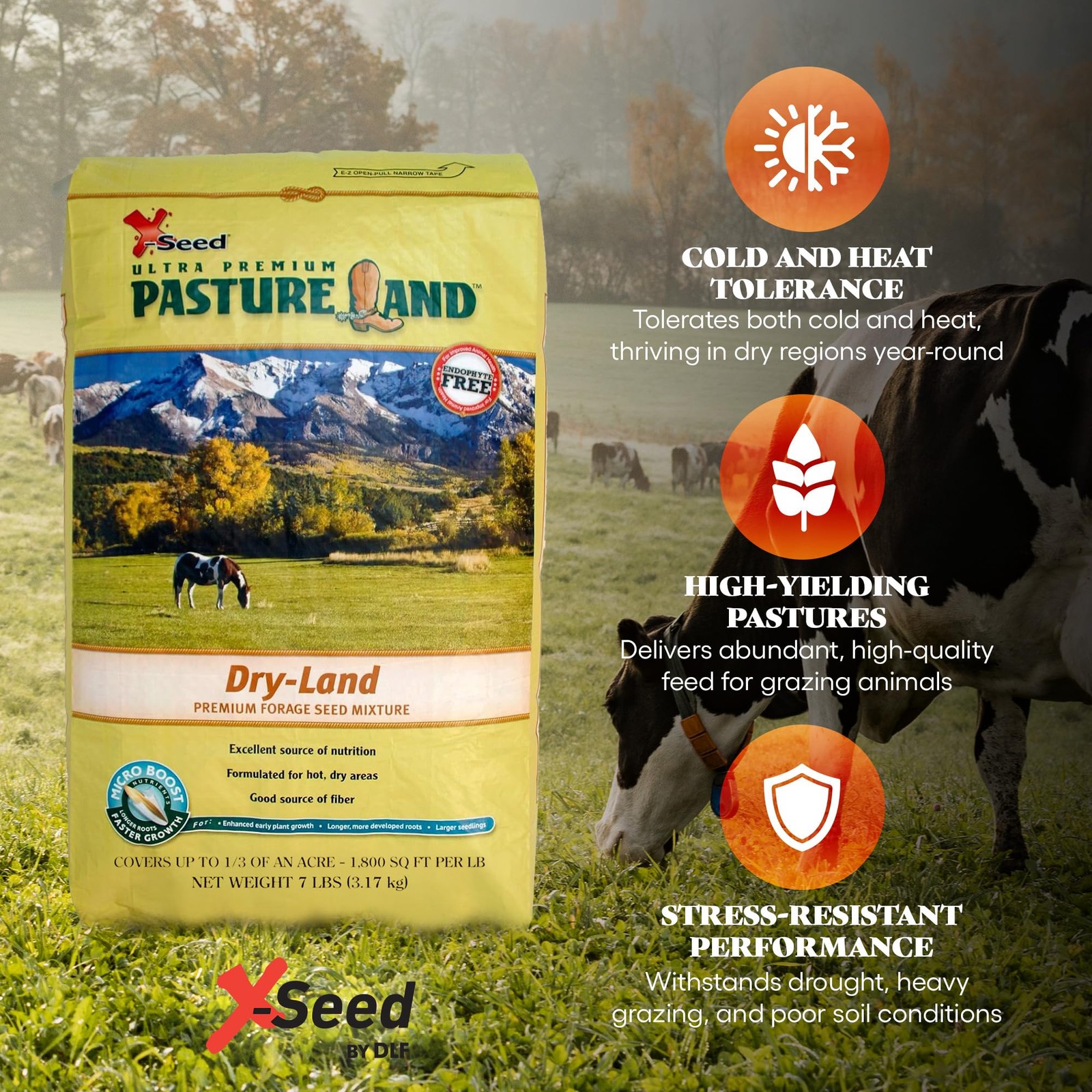 “Dry-Land Forage Seed Mixture for Livestock Nutrition – 7 lb Tall Fescue &
