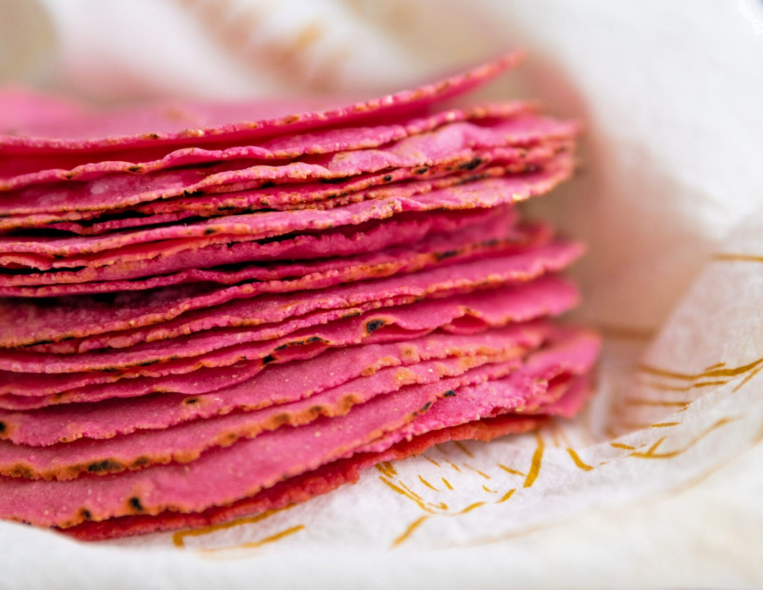 Pink Xocoyul Corn Seeds 25 Rare Heirloom Mexican Pink Maize Non GMO USA