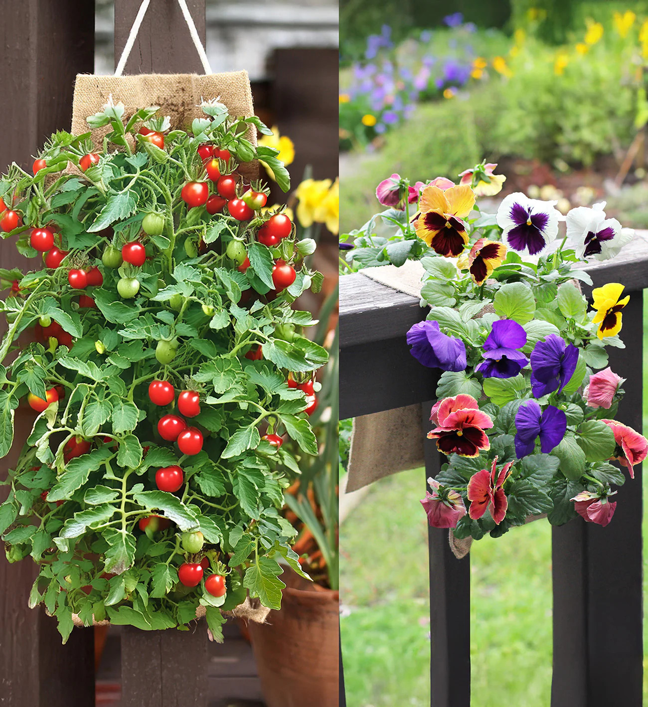 Hang & Grow® Canvas Hanging Bag – 2″ Holes