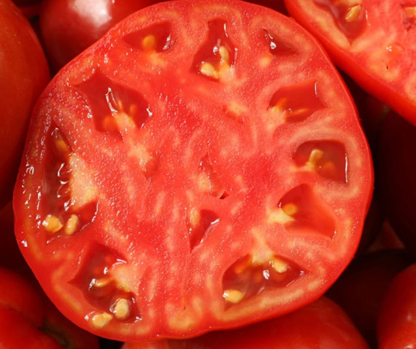 75 Heirloom Mortgage LIfter Tomato Seeds – Huge 4LB Tomato!!