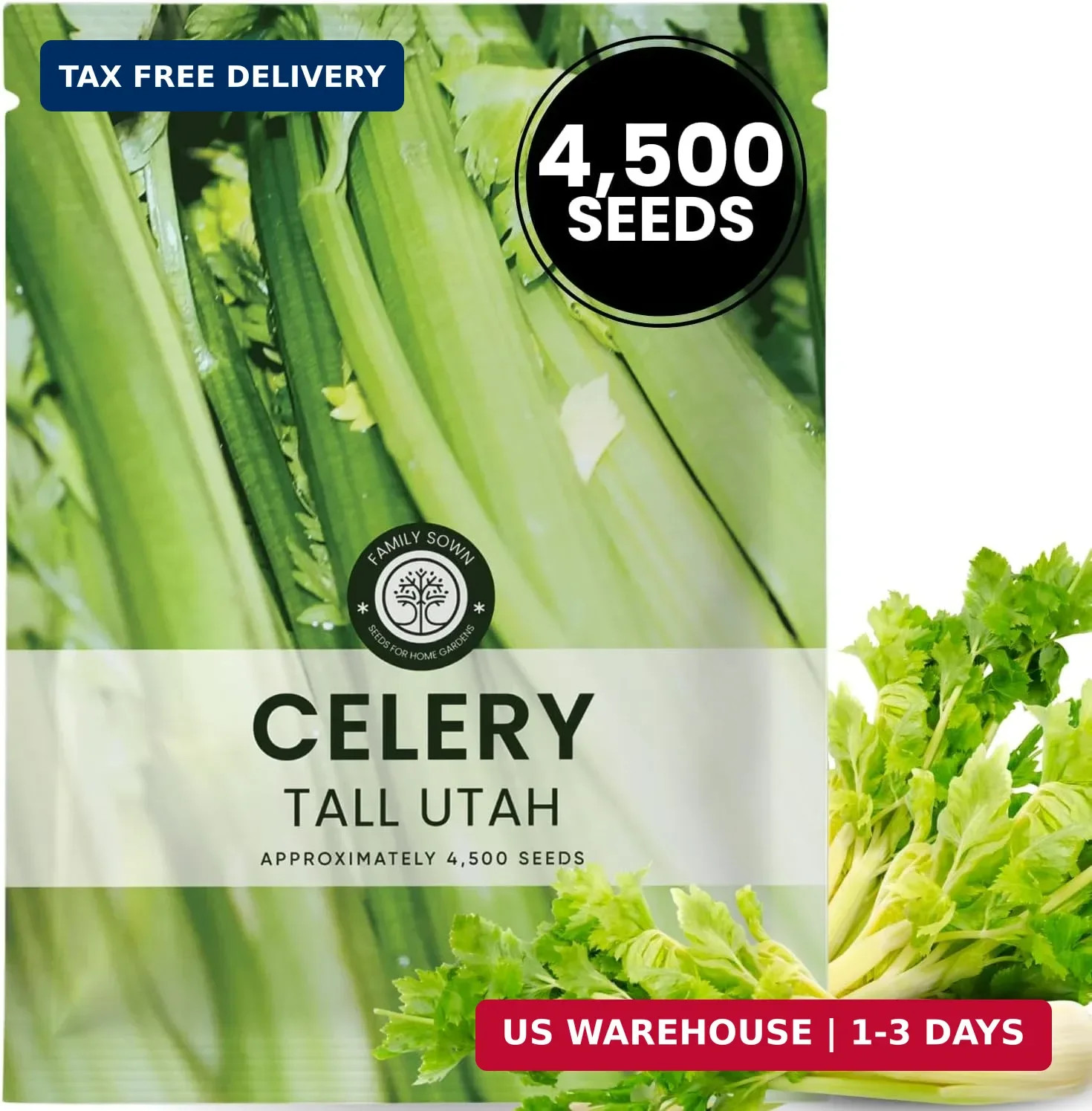 Celery Tall Utah – 4,500 Premium Seeds for Planting – Crisp, Aromatic, Slow-Bolt