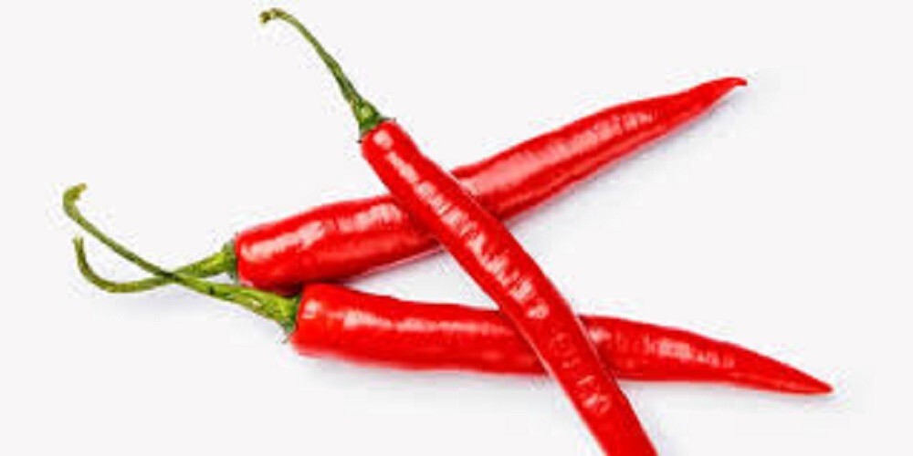 Premium Long Red Thin Cayenne Hot Pepper – Fresh Seeds! – 40,000 Scoville Units