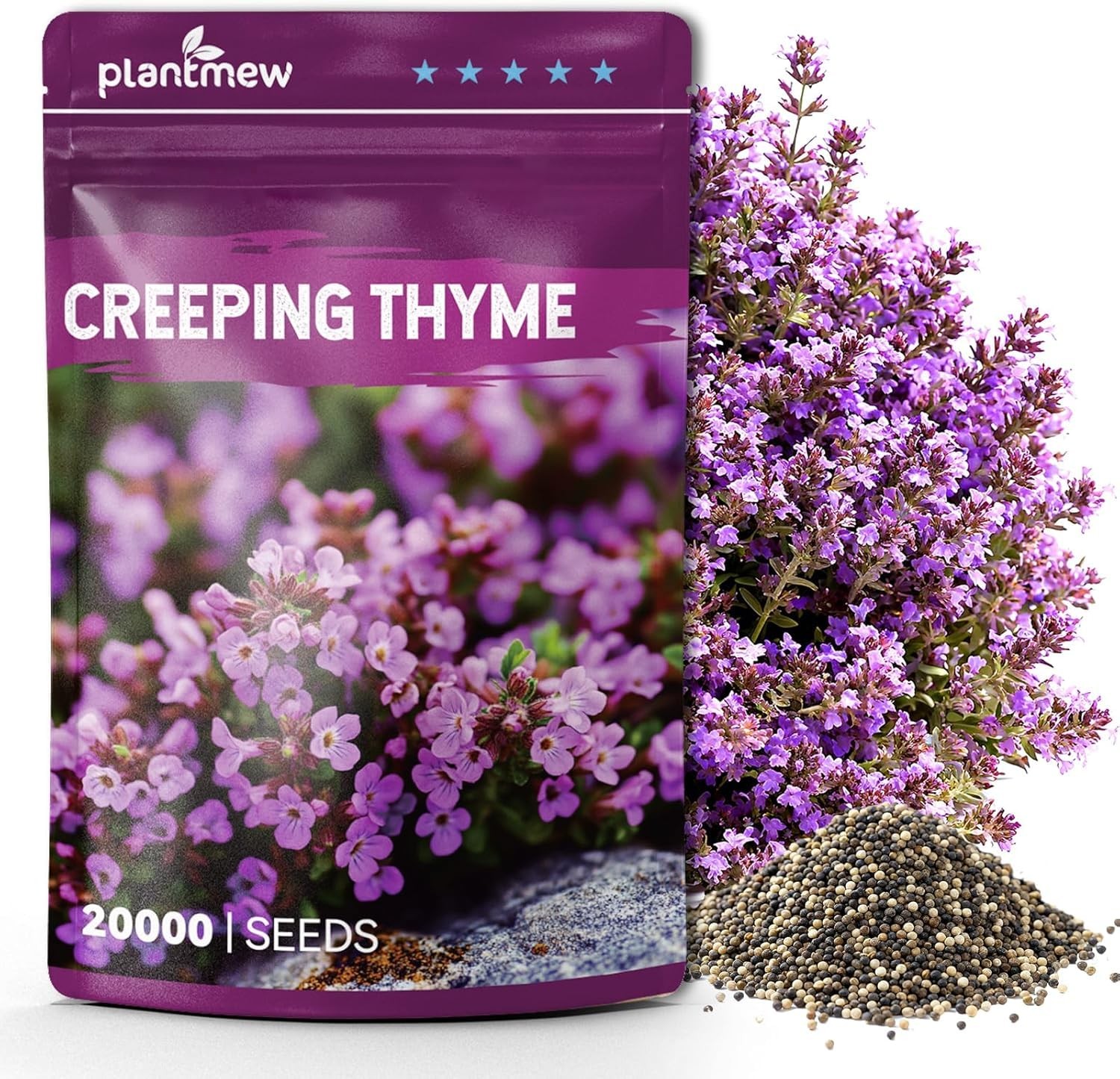 20000+ Creeping Thyme Seeds for Planting, Ground Cover Seeds, Fragrant Lawn A…