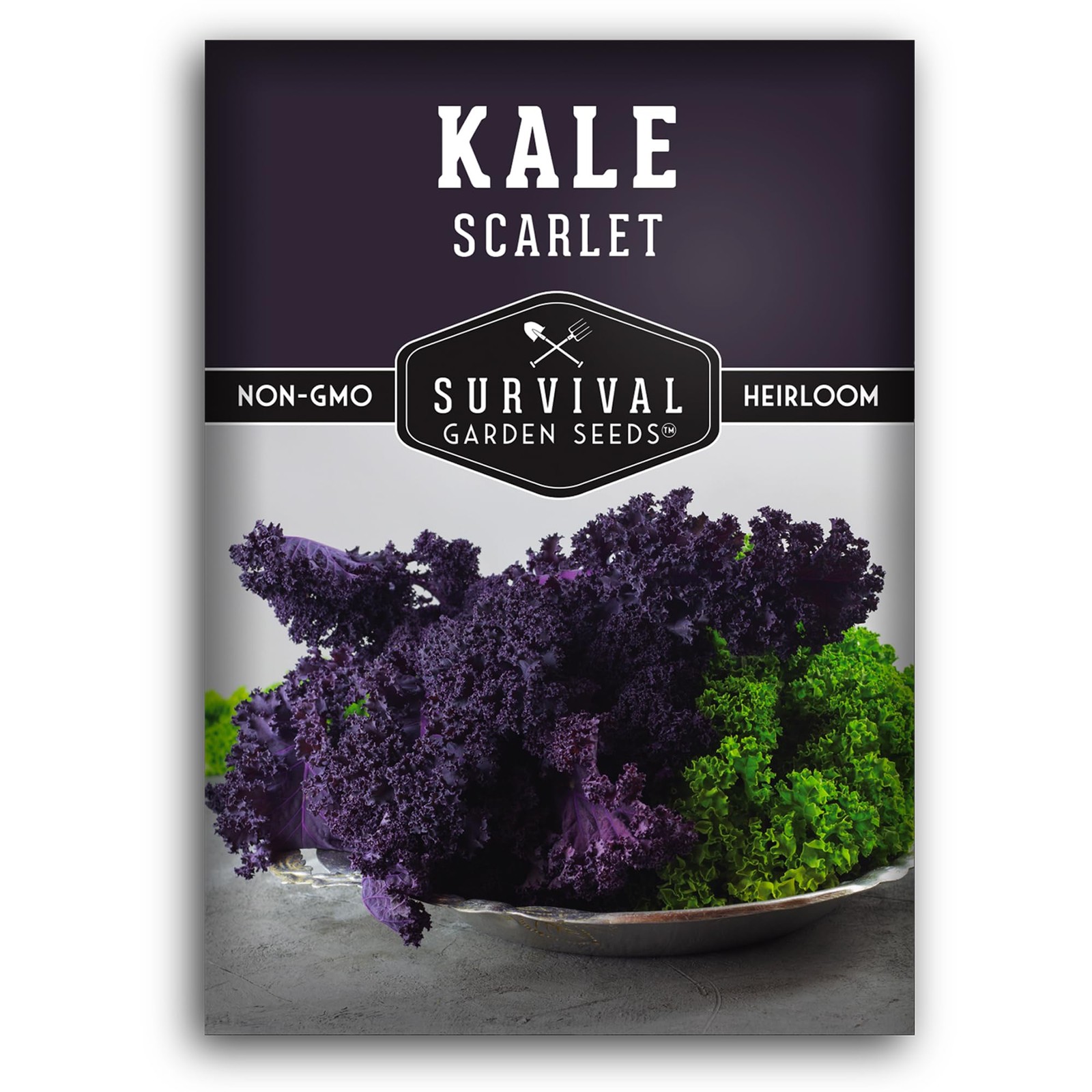 Scarlet Kale Seeds for Planting, Heirloom Purple Variety, 1 Pack