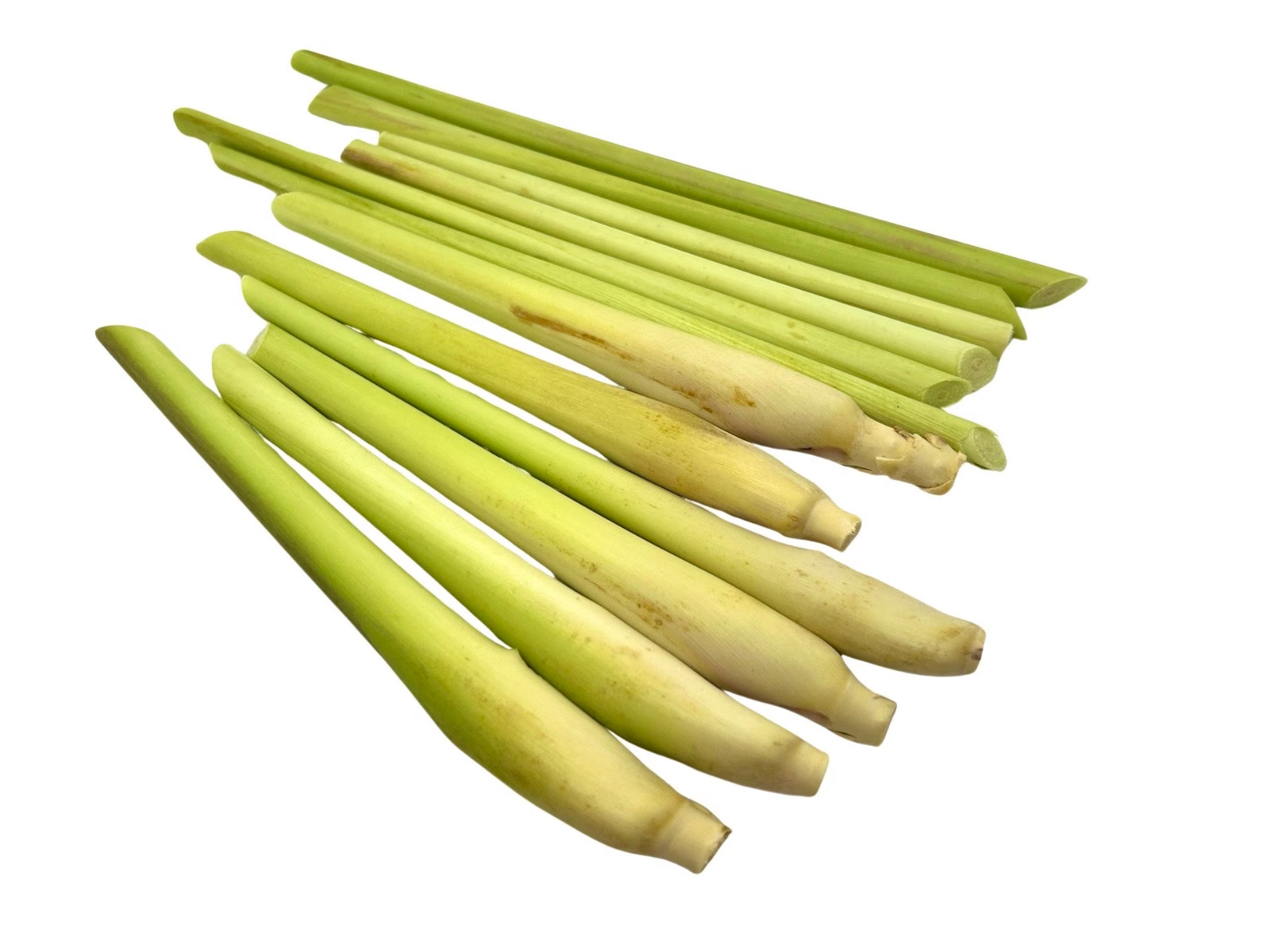Lemongrass stalks