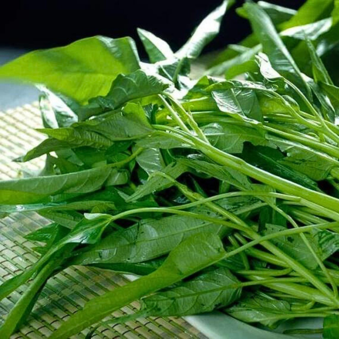 Fresh Water Spinach Seeds | Kangkong | Heirloom Non-GMO | Asian Vegetable Seeds