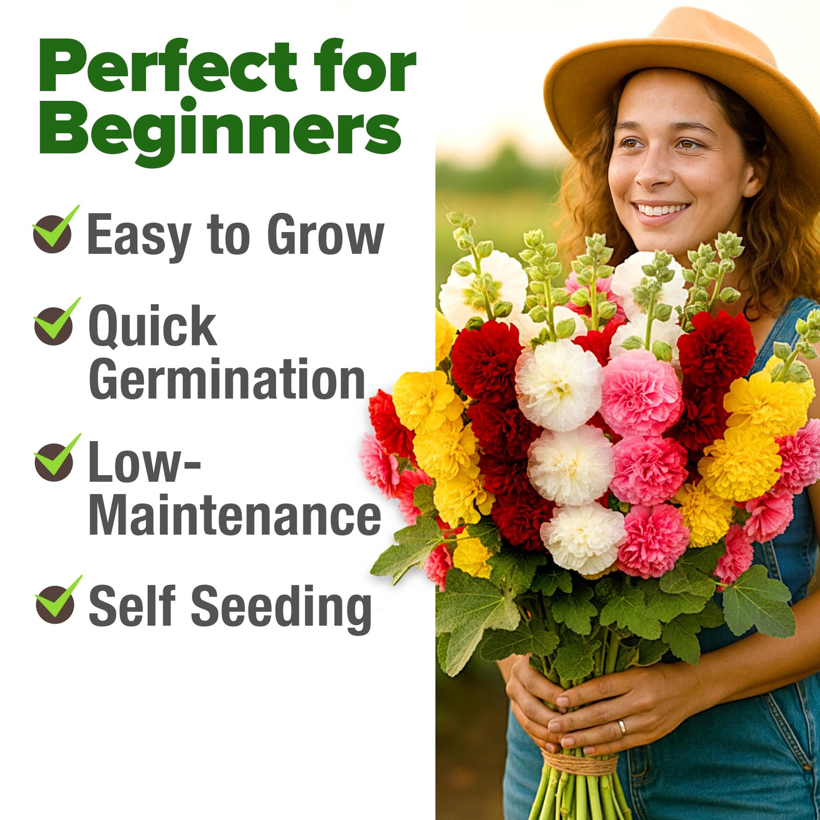 HOME GROWN Hollyhock Summer Carnival Mix Flower Seeds – Alcea 1-Pack, Multi