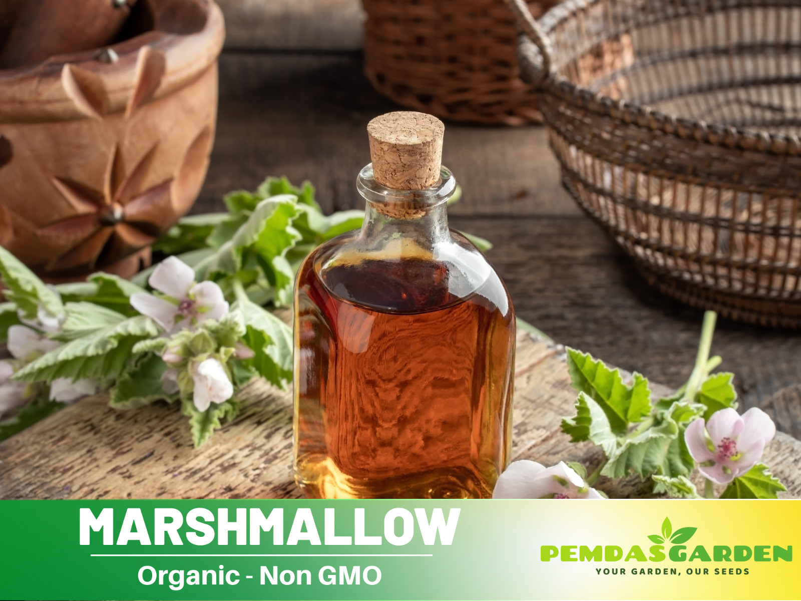 30 seeds| Marshmallow Flower Herb seeds #6002