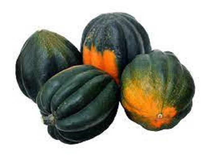 Premium Table King Bush Acorn Winter Squash – Fresh Heirloom Seed Very prolific!