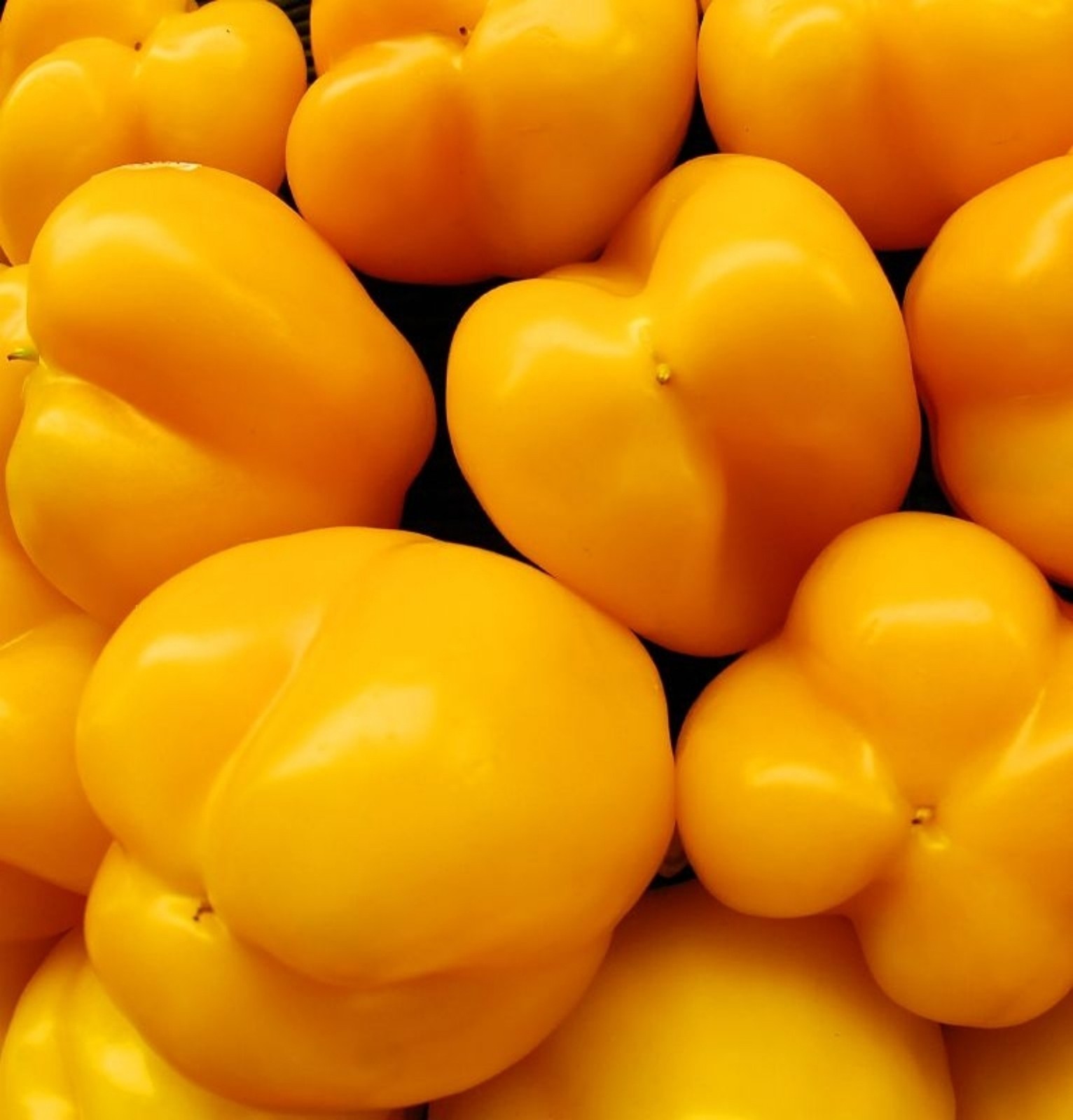 Golden Calwonder Pepper Seeds 75+ 2021 Seeds $1.69 Max Shipping/order