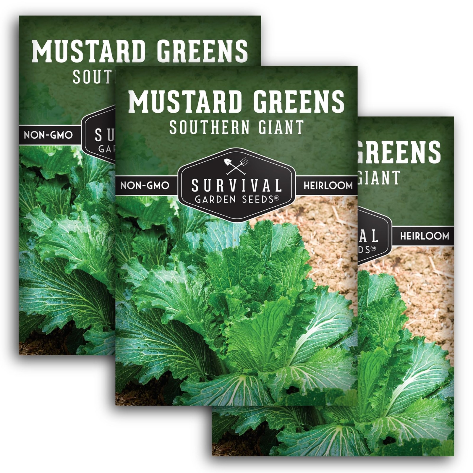 Heirloom Mustard Green Seeds – Non-GMO, Heat Tolerant, Spicy Greens (3 Packs)